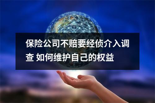 保险公司不赔要经侦介入调查 如何维护自己的权益