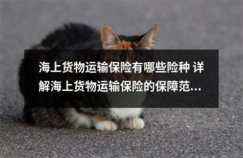 海上货物运输保险有哪些险种 详解海上货物运输保险的保障范围