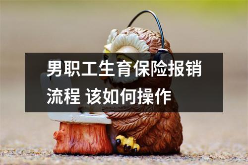 男职工生育保险报销流程 该如何操作
