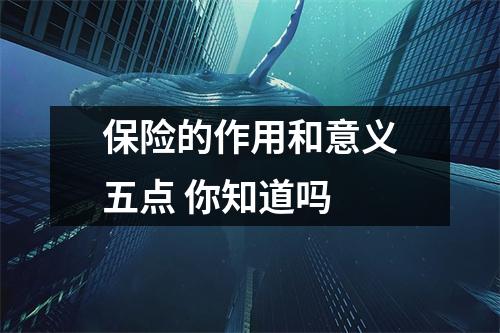 保险的作用和意义五点 你知道吗