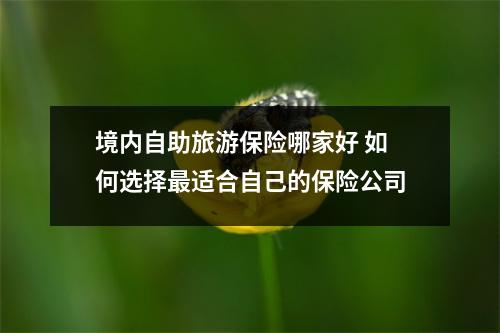境内自助旅游保险哪家好 如何选择最适合自己的保险公司