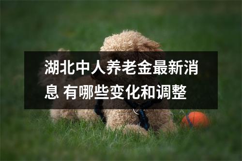 湖北中人养老金最新消息 有哪些变化和调整
