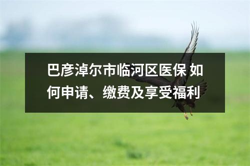 巴彦淖尔市临河区医保 如何申请、缴费及享受福利