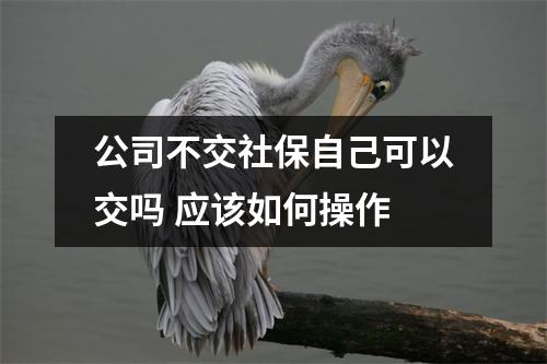 公司不交社保自己可以交吗 应该如何操作