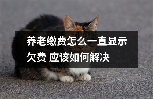 养老缴费怎么一直显示欠费 应该如何解决