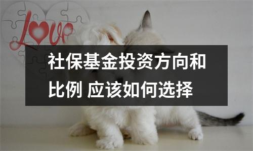社保基金投资方向和比例 应该如何选择