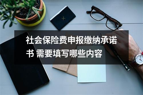 社会保险费申报缴纳承诺书 需要填写哪些内容 