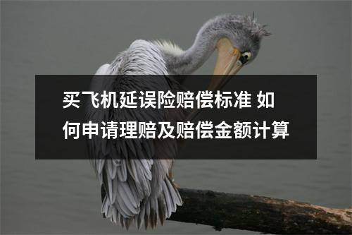 买飞机延误险赔偿标准 如何申请理赔及赔偿金额计算