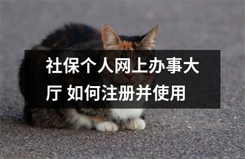 社保个人网上办事大厅 如何注册并使用