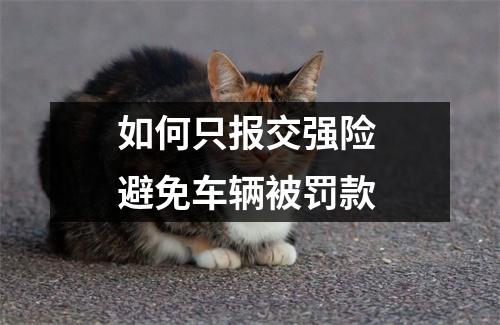 如何只报交强险 避免车辆被罚款