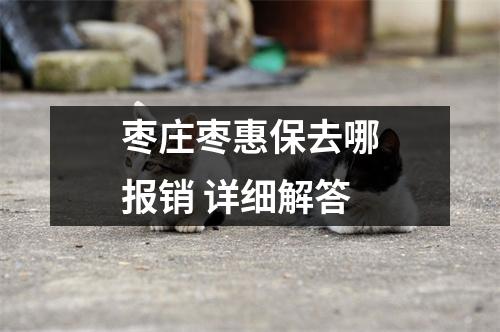 枣庄枣惠保去哪报销 详细解答
