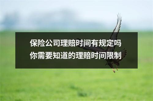 保险公司理赔时间有规定吗 你需要知道的理赔时间限制