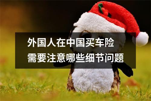 外国人在中国买车险 需要注意哪些细节问题