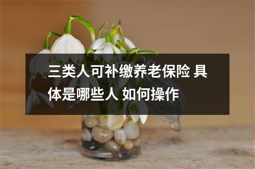 三类人可补缴养老保险 具体是哪些人 如何操作 