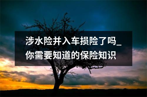 涉水险并入车损险了吗_你需要知道的保险知识