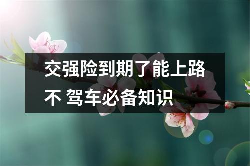 交强险到期了能上路不 驾车必备知识