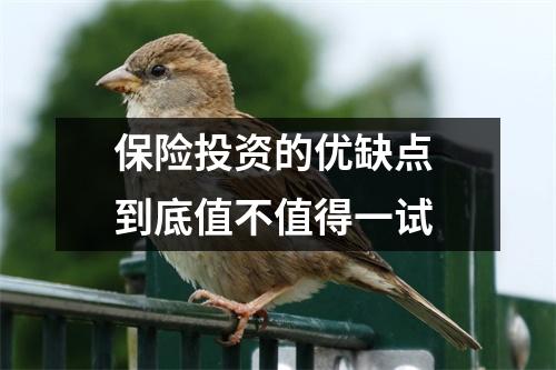 保险投资的优缺点 到底值不值得一试