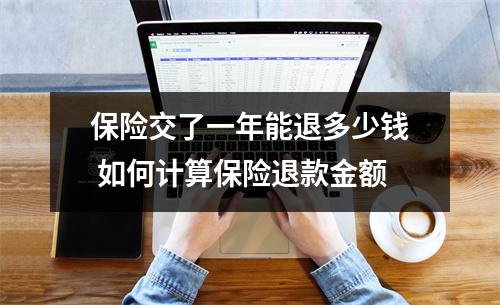 保险交了一年能退多少钱 如何计算保险退款金额