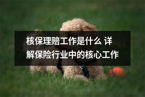 核保理赔工作是什么 详解保险行业中的核心工作