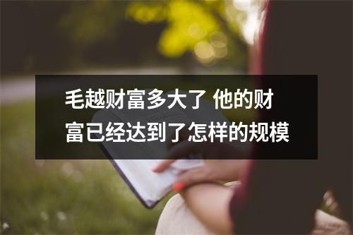 毛越财富多大了 他的财富已经达到了怎样的规模