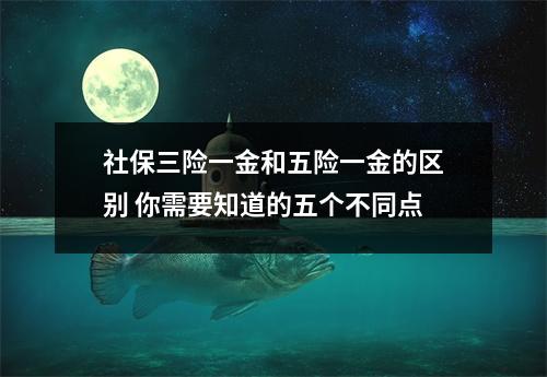 社保三险一金和五险一金的区别 你需要知道的五个不同点