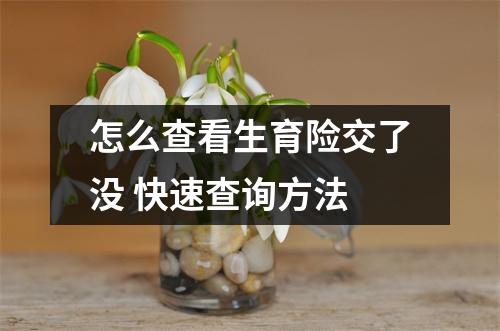 怎么查看生育险交了没 快速查询方法