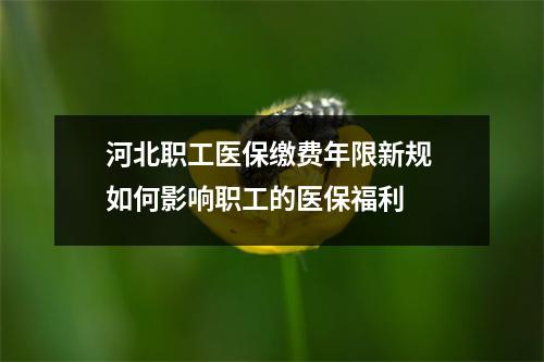 河北职工医保缴费年限新规 如何影响职工的医保福利 