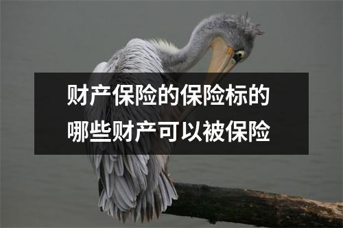 财产保险的保险标的 哪些财产可以被保险