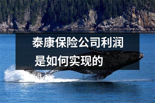 泰康保险公司利润 是如何实现的 