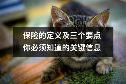 保险的定义及三个要点 你必须知道的关键信息
