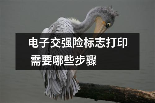 电子交强险标志打印 需要哪些步骤 