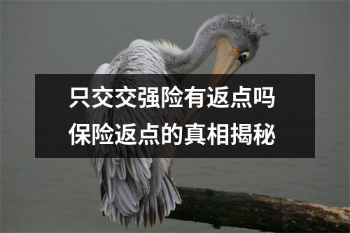 只交交强险有返点吗 保险返点的真相揭秘