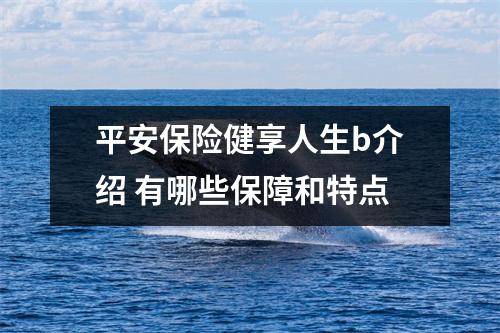 平安保险健享人生b介绍 有哪些保障和特点