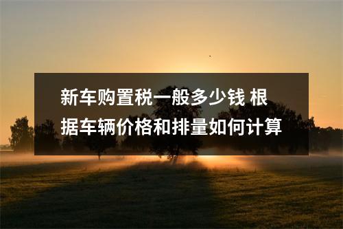 新车购置税一般多少钱 根据车辆价格和排量如何计算