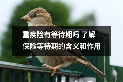 重疾险有等待期吗 了解保险等待期的含义和作用