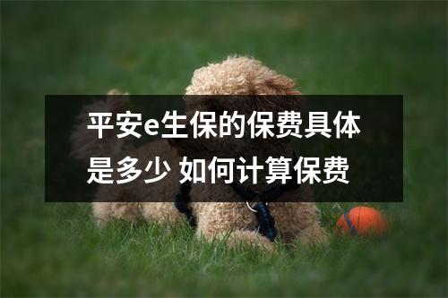 平安e生保的保费具体是多少 如何计算保费
