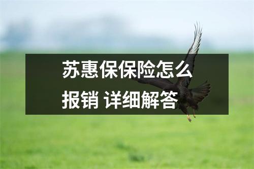 苏惠保保险怎么报销 详细解答