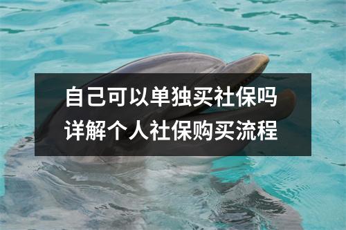 自己可以单独买社保吗 详解个人社保购买流程