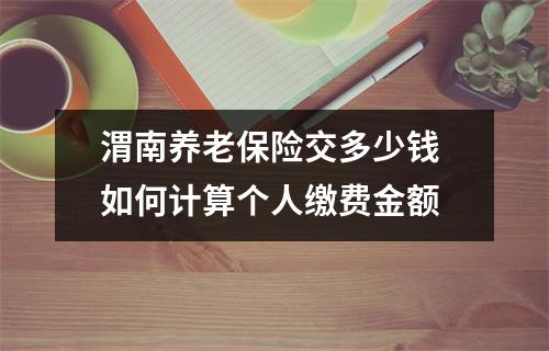渭南养老保险交多少钱 如何计算个人缴费金额