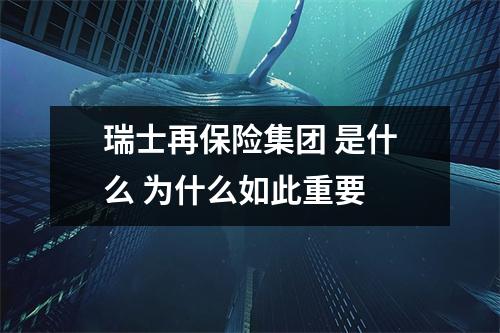 瑞士再保险集团 是什么 为什么如此重要