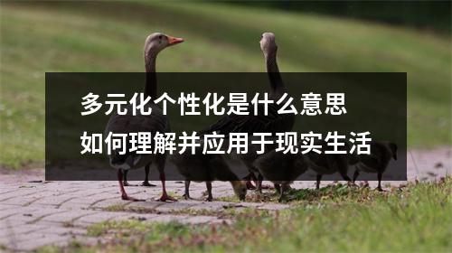 多元化个性化是什么意思 如何理解并应用于现实生活