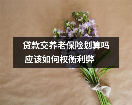 贷款交养老保险划算吗 应该如何权衡利弊
