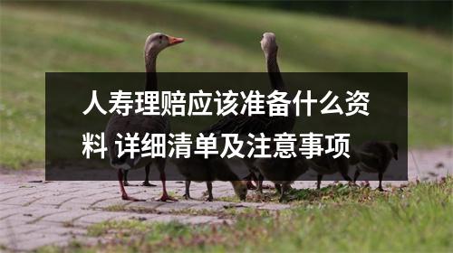 人寿理赔应该准备什么资料 详细清单及注意事项