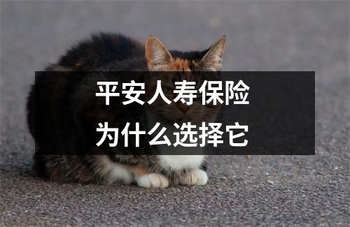 平安人寿保险 为什么选择它 