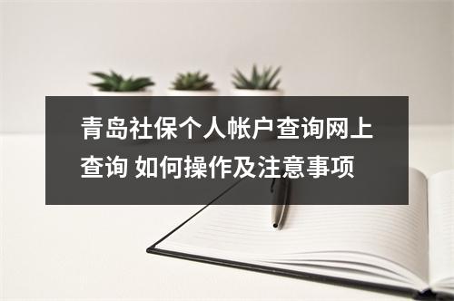 青岛社保个人帐户查询网上查询 如何操作及注意事项