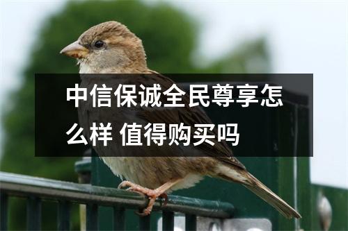 中信保诚全民尊享怎么样 值得购买吗 