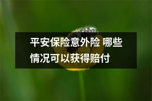 平安保险意外险 哪些情况可以获得赔付