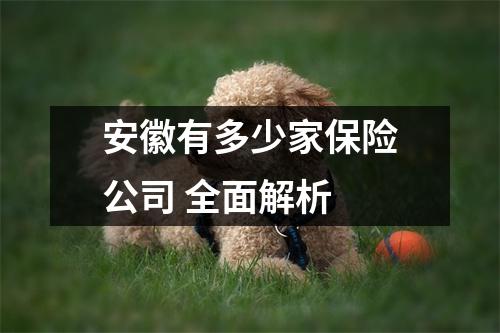 安徽有多少家保险公司 全面解析