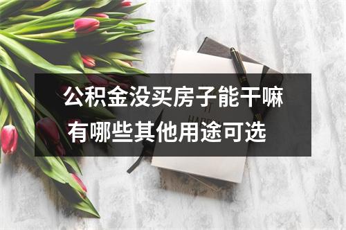 公积金没买房子能干嘛 有哪些其他用途可选