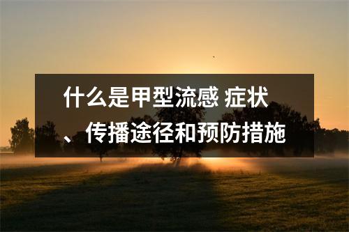 什么是甲型流感 症状、传播途径和预防措施